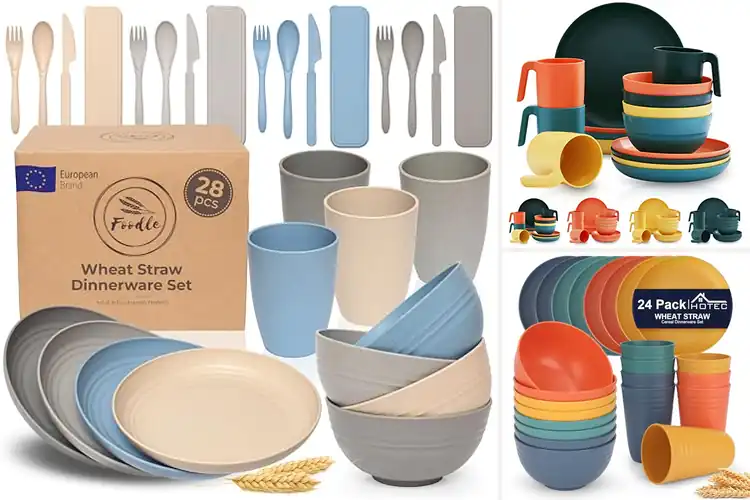 Detailed view of Best BPA-Free Dishes : Unbreakable, Safe & Easy Clean