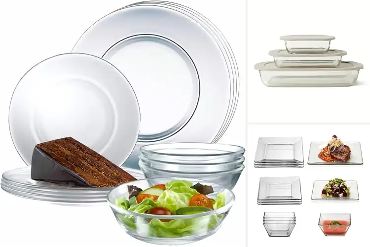 Detailed view of Best Dishwasher Safe Glass Dishes