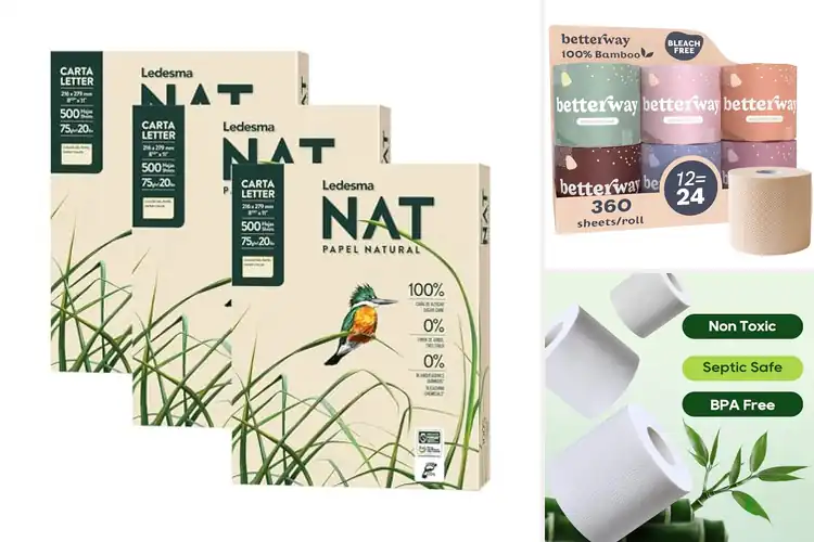 Detailed view of 10 Best Eco-Friendly Papers: Gentle & Sustainable Choices