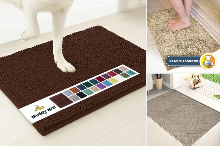 Detailed view of 10 Best Entryway Rugs for Style and Clean Floors