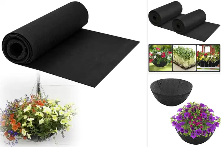Detailed view of Best Healthy Liner Alternatives