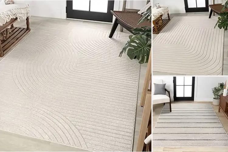 Detailed view of 10 Best Minimalist Rugs for a Tranquil Home