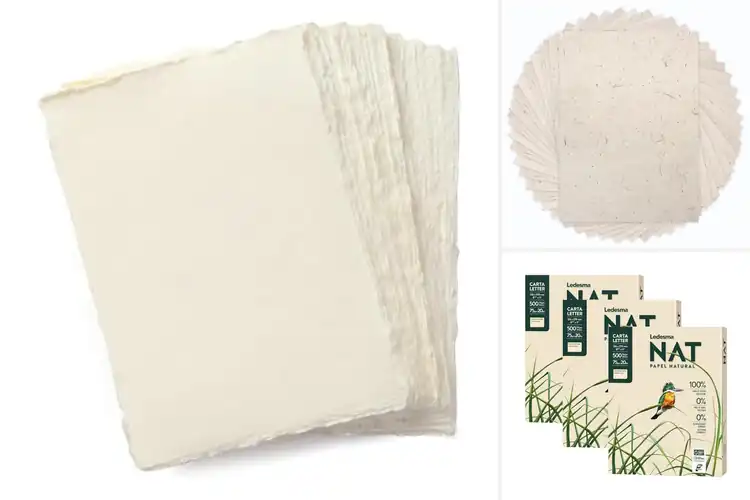 Detailed view of 10 Best Natural Papers: Eco-Friendly Guide