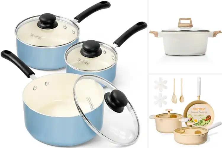 Detailed view of Best PTFE Free Pots