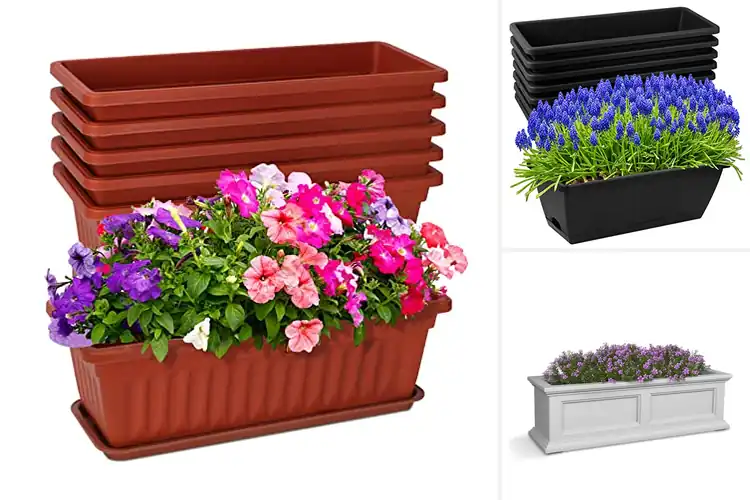 Detailed view of Best Window Boxes: Transform Your Home with These Top Picks