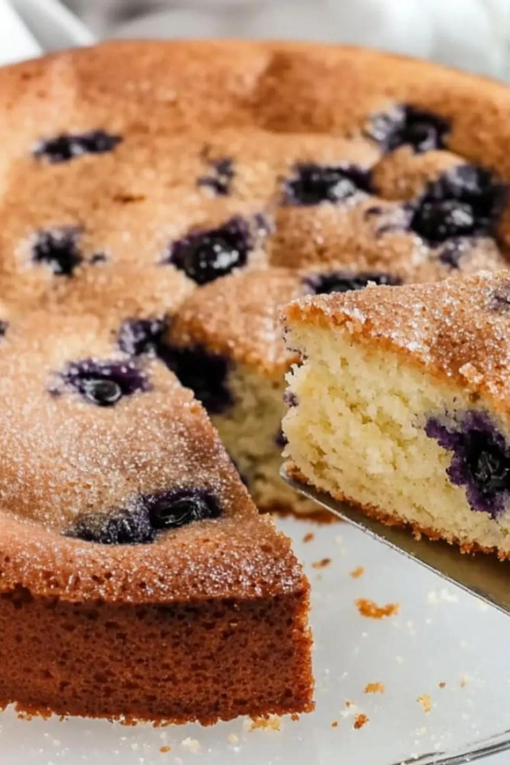 Blueberry Buttermilk Cake Photo