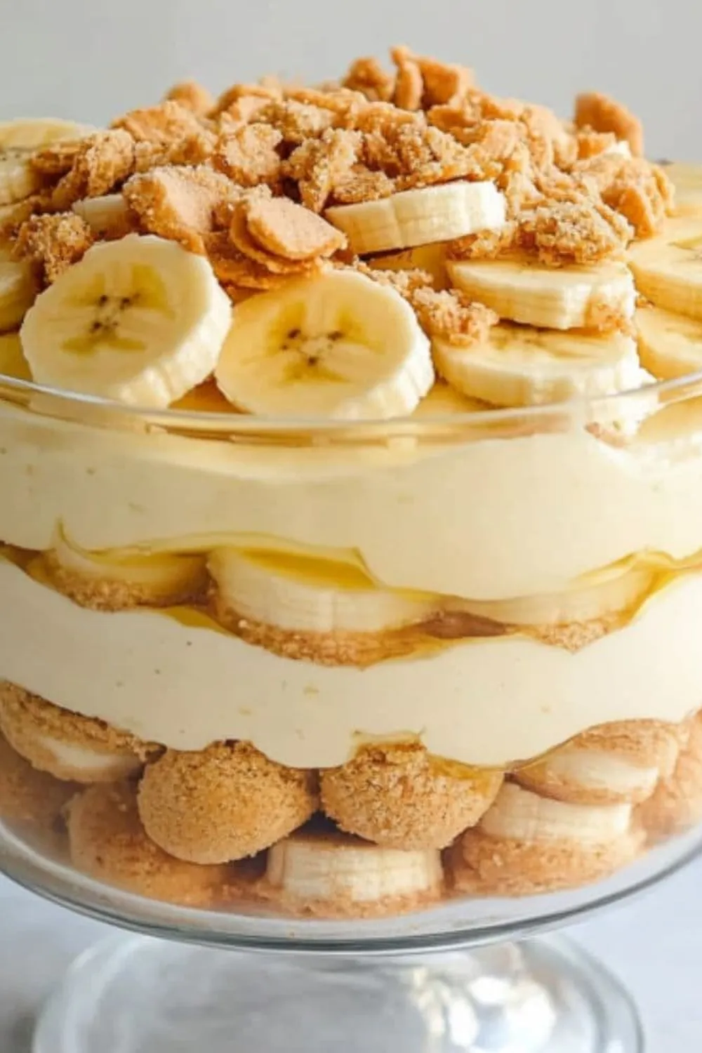 Magnolia Bakery Banana Pudding Photo