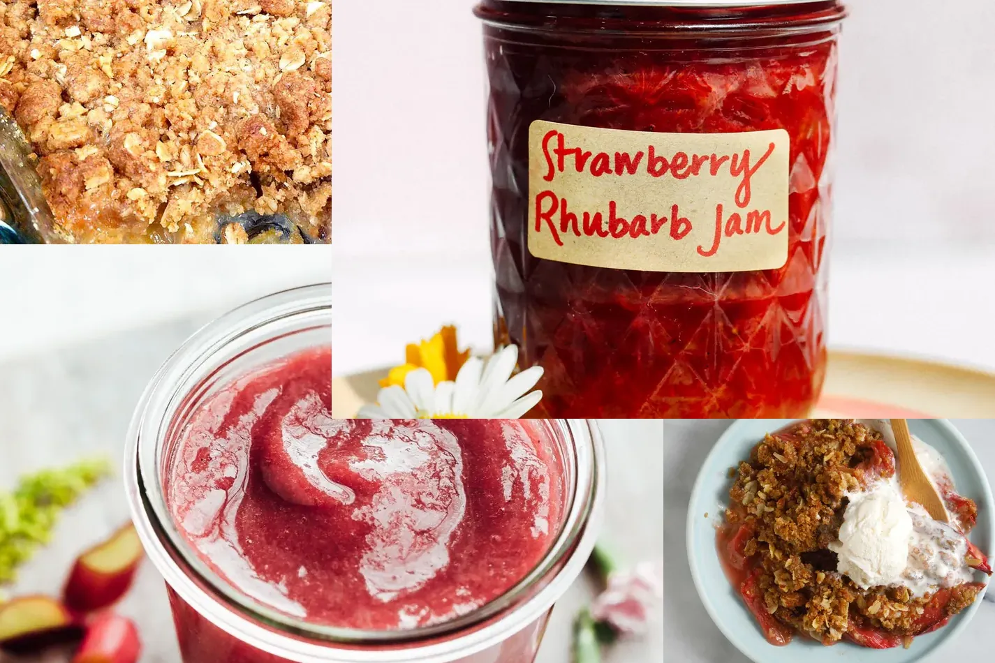 Photo of Rhubarb Recipes