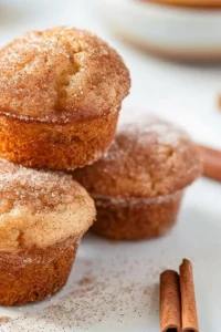 Snickerdoodle Muffins Photo