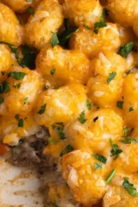 Tater Tot Casserole Recipe Photo