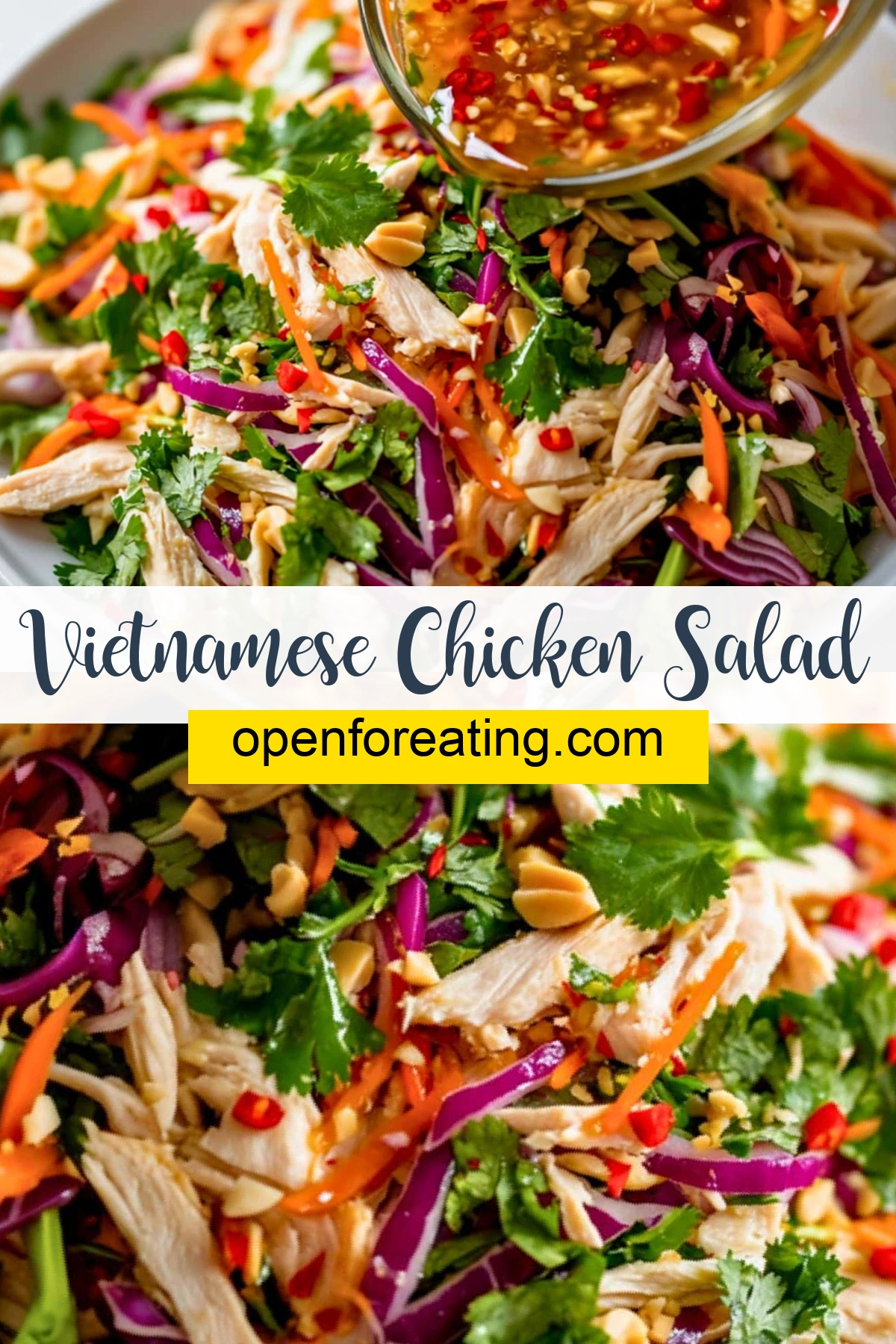 Vietnamese Chicken Salad Vertical Photo